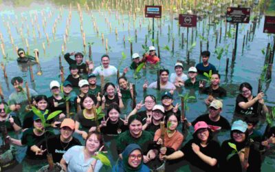 Akar untuk Bumi: Aksi Nyata Mahasiswa FSRD Untar Menanam Mangrove di Taman Wisata Alam Mangrove Angke Kapuk